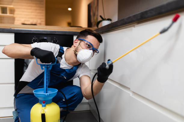 Best Flea Control Services  in Newton, NC