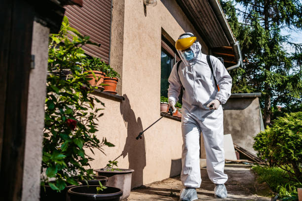 Best Local Pest Control Services  in Newton, NC