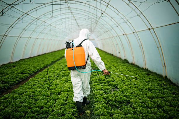 Best Best Pest Control Companies  in Newton, NC