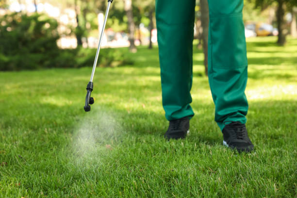 Best Insect Control  in Newton, NC