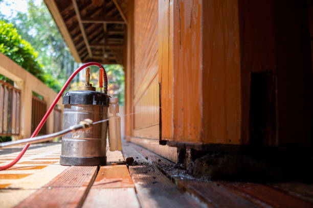 Reliable Newton, NC Pest Control Solutions