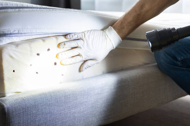 Best Exterminator Services  in Newton, NC