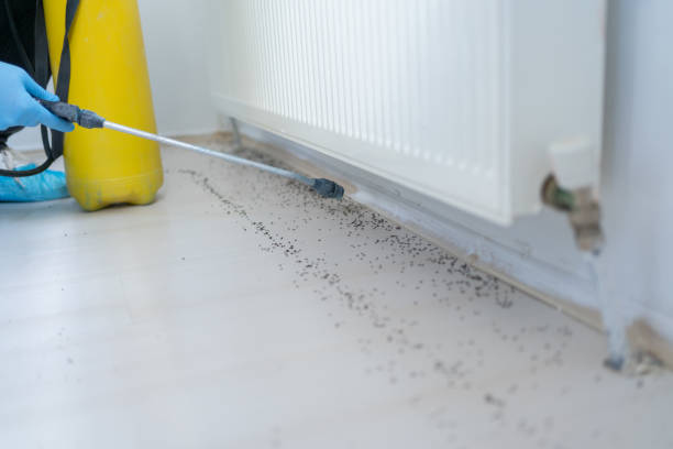 Best Residential Pest Control  in Newton, NC